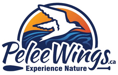 pelis wings|We are thrilled and grateful .
